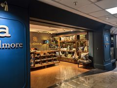 -奥利弗·雷金纳德·坦博国际机场