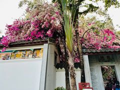 -深圳国际园林花卉博览园