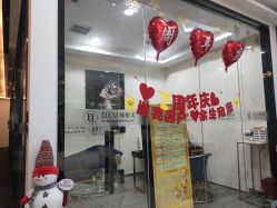-DEM缔怡美科技美容