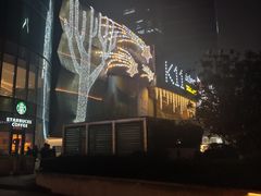 -武汉光谷K11