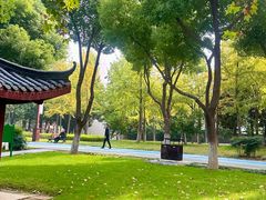 -堤角公园