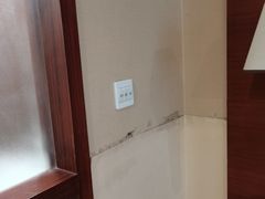 -咸宁温泉谷大酒店