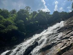 -广州白江湖森林公园