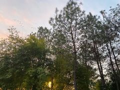 -崇阳三特浪口温泉