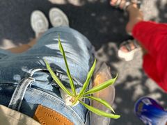 -楠火锅(绵阳首店)