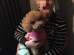 iphone_upload_pic-百好乐宠物友好餐厅(朝外大街店)