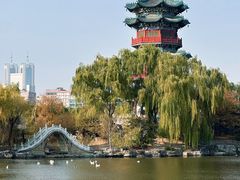 -迎泽公园