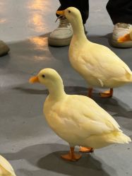 -Zoolung Zoolung动物主题公园(海信广场店)