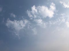 -碧海金沙