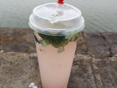 柠檬芭乐-鸡鸣赐茶(鸡鸣寺路店)