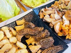 -蘑统田下·野生菌火锅