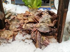 -加餐海鲜自助(集美银泰百货店)