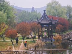 -石塘人家