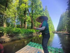 -黄海国家森林公园