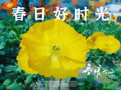 -成都欢乐谷