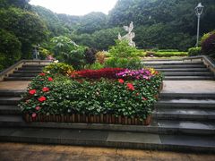 -金鸡山公园