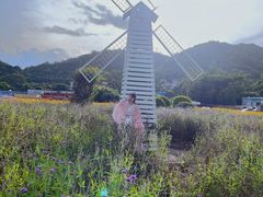 -玫瑰海岸文化旅游度假区