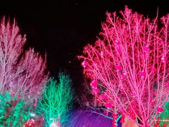 -南宫五洲植物乐园