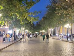 -人民防洪胜利纪念塔