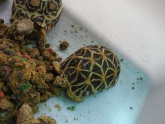 -安安宠医·安宠宠物医院