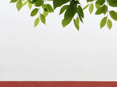 -四川大学(望江校区)