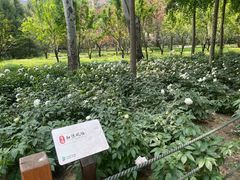 -仁和公园(顺义区)