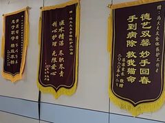 -中农国际动物医院24小时·猫科·骨科·急重症中心