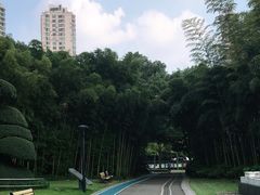 -苏州河梦清园环保主题公园