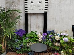 -青果巷历史文化街区