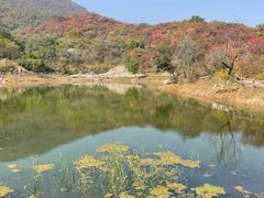 -周口店坡峰岭风景区