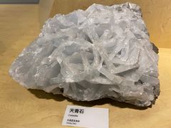 -重庆自然博物馆(新馆)