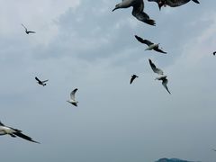 -海驴岛(荣成市)