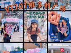 -VT101维多利广场