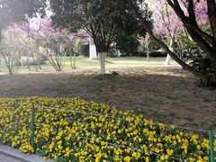 -龙头寺公园