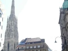 -斯蒂芬主教座堂(Stephansdom)
