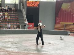 -石家庄市动物园