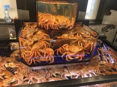 -蟹道乐(道顿堀本店)