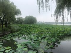 -重元寺香积厨素斋馆