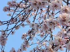 -万达广场(太原街店)