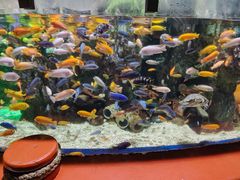 -太平洋海底世界