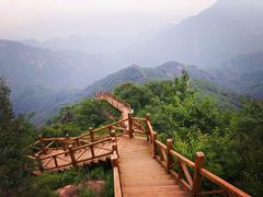 景点-大岭沟猕猴桃谷风景区