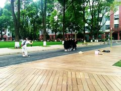 -四川大学(望江校区)