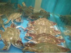-船梆煮•蒸汽海鲜·生腌干蒸(五四广场店)