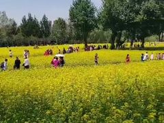 -长白岛森林公园