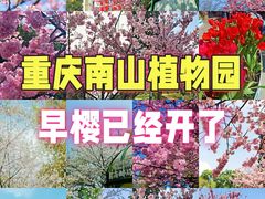 -南山植物园