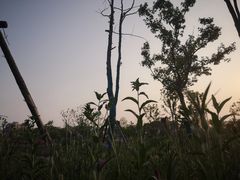 -肯德基(昌里店)