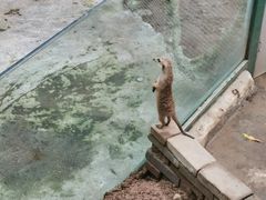 -呀诺达热带雨林