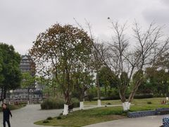 -眉山湿地公园(东坡区)
