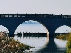 -莲花岛景区