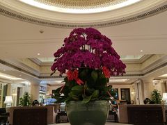 -福建鲤鱼洲酒店